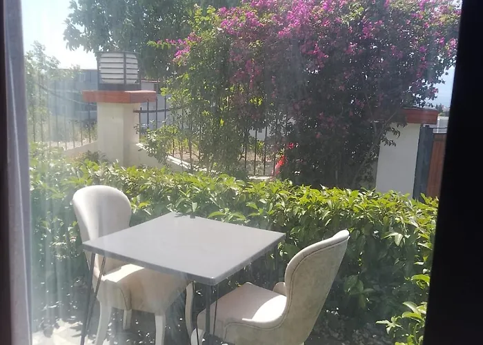 My Leos * Seferihisar