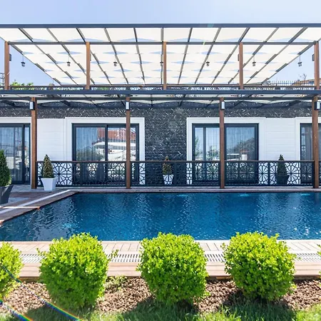 My Leos * セェフェリヒサール