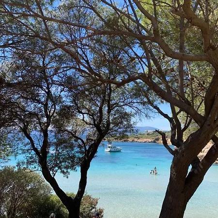 My Leos فندق سفيريهيسار