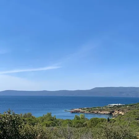 My Leos * سفيريهيسار