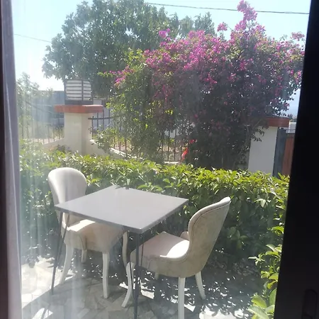 My Leos * セェフェリヒサール