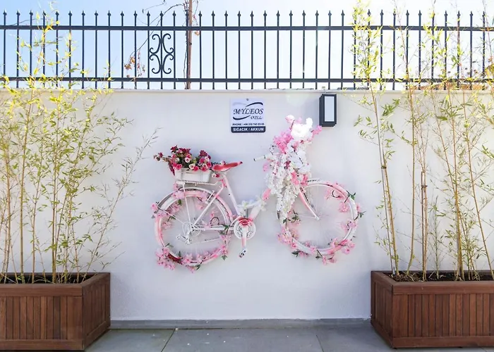 My Leos 호텔 세페리히사르