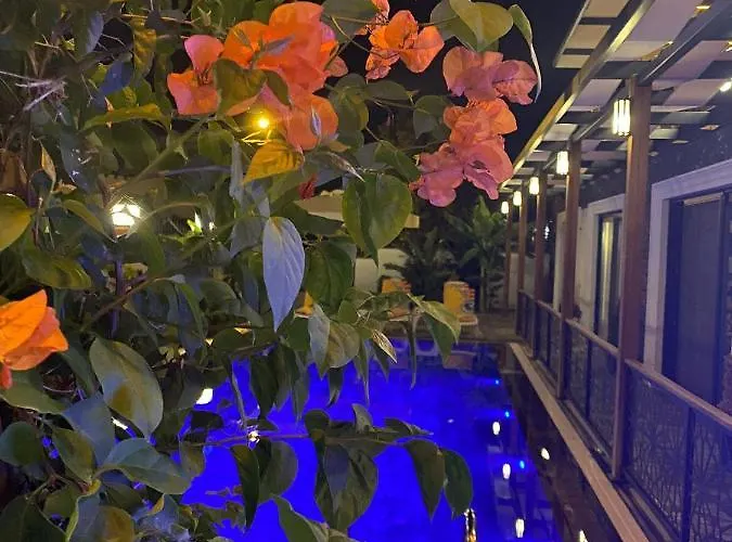 호텔 My Leos 세페리히사르