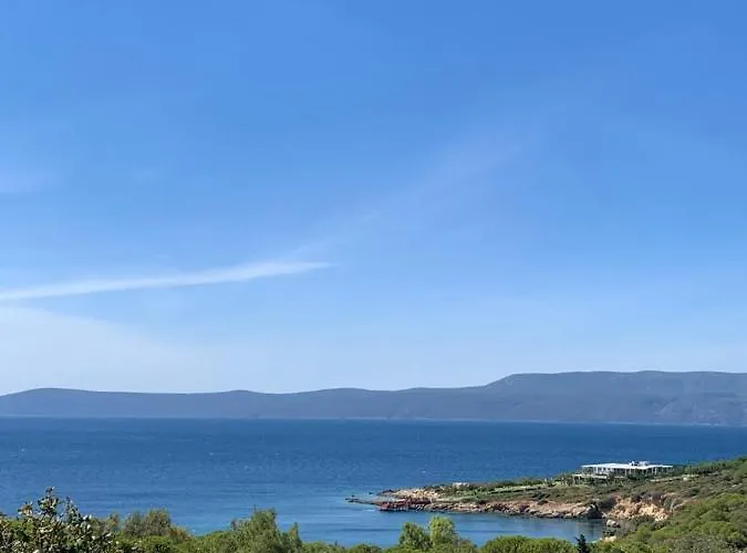 My Leos * 세페리히사르