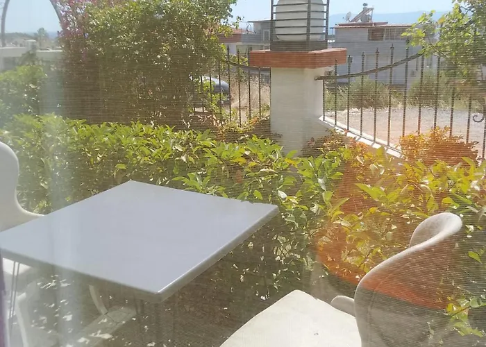 My Leos 세페리히사르